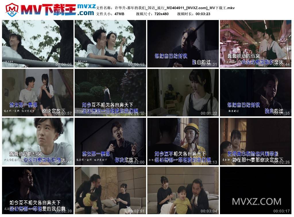 许华升-那年的我们_国语_流行_MD404911